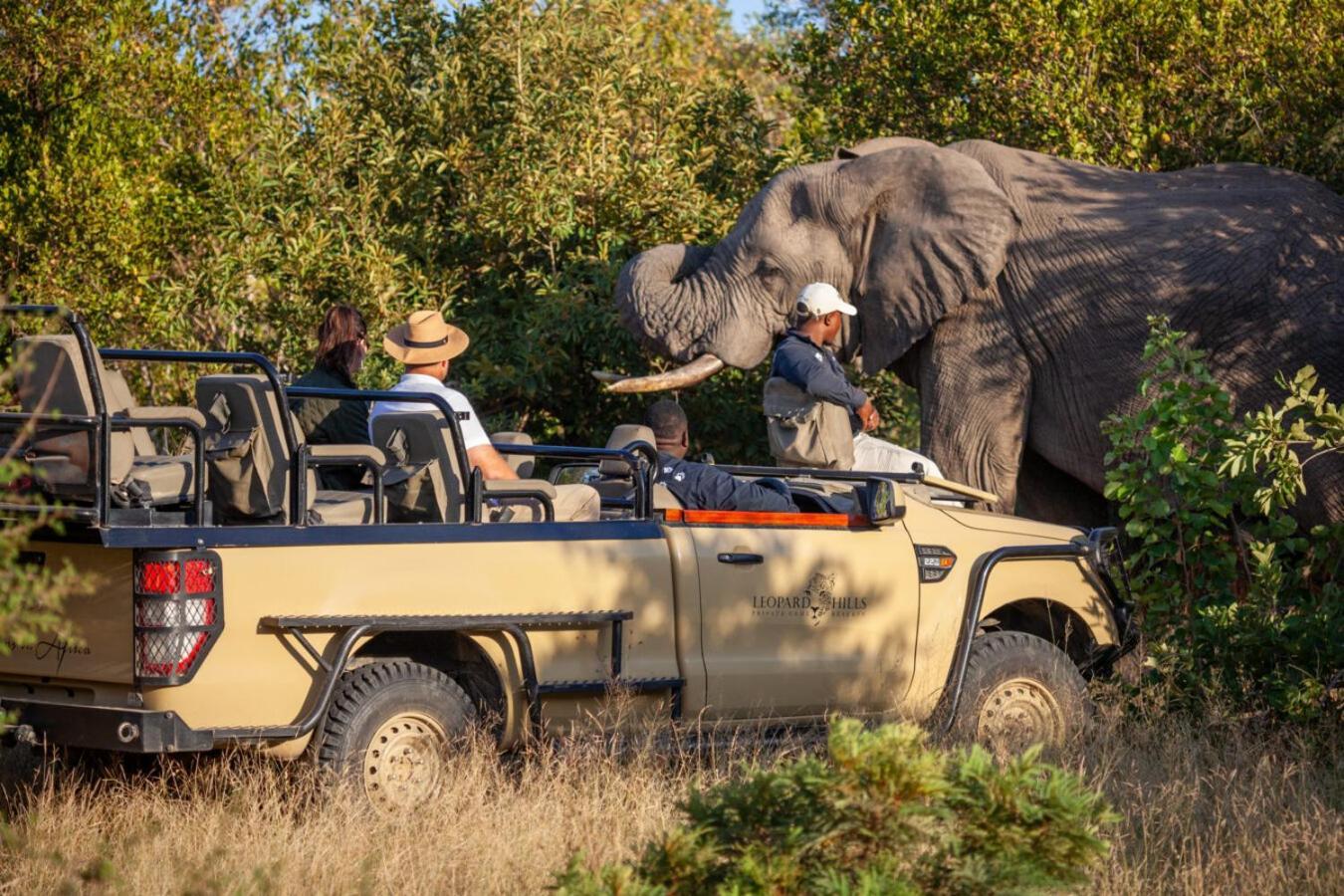 Leopard Hills Private Game Reserve Cagar Alam Sabi Sand Bagian luar foto