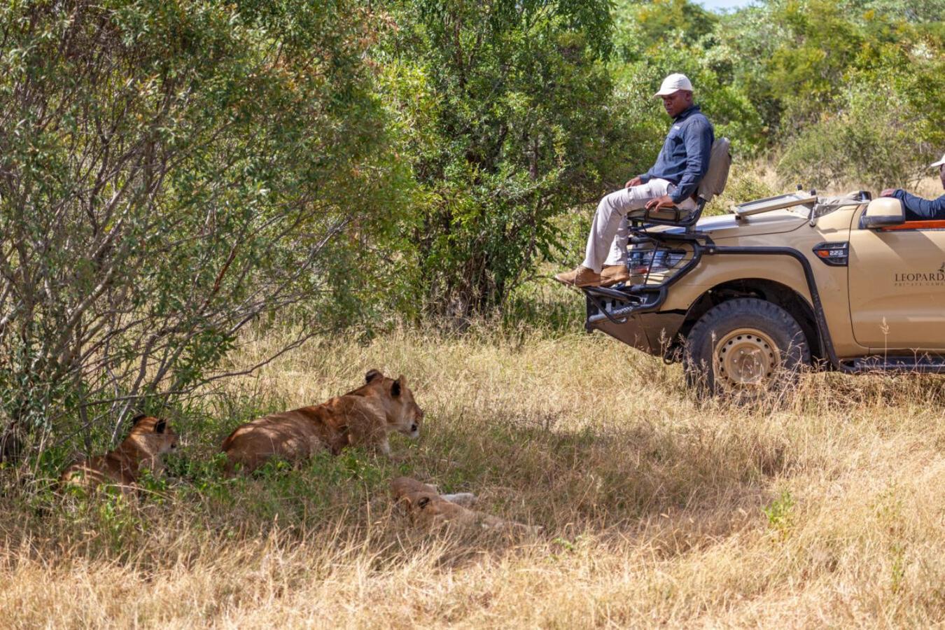 Leopard Hills Private Game Reserve Cagar Alam Sabi Sand Bagian luar foto