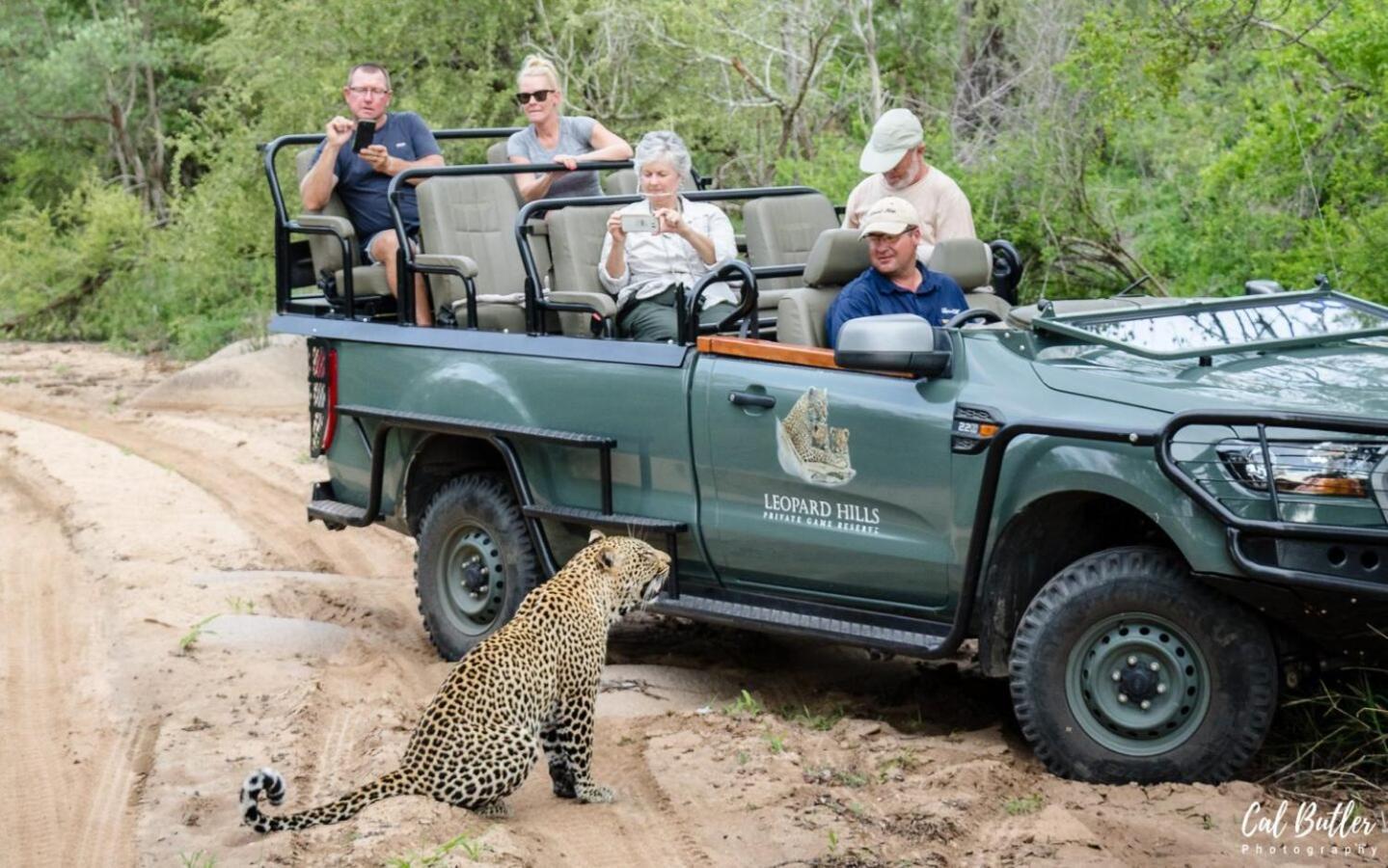 Leopard Hills Private Game Reserve Cagar Alam Sabi Sand Bagian luar foto