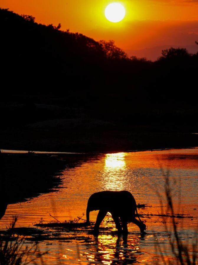 Leopard Hills Private Game Reserve Cagar Alam Sabi Sand Bagian luar foto